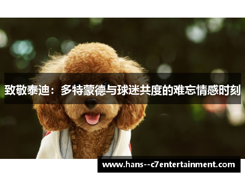 致敬泰迪：多特蒙德与球迷共度的难忘情感时刻