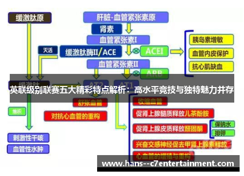 英联级别联赛五大精彩特点解析：高水平竞技与独特魅力并存